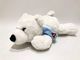 100% το δώρο βαμβακιού PP γέμισε τα μικρά να βρεθεί δώρα παιχνιδιών βελούδου πολικών αρκουδών για τα παιδιά