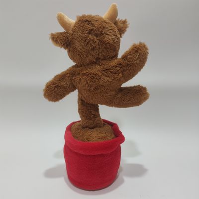 Τραγουδώντας και Χορεύοντας Αγριόχοιρη αγελάδα