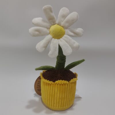 Ηχογράφηση και Rolling Daisy Plush Toy